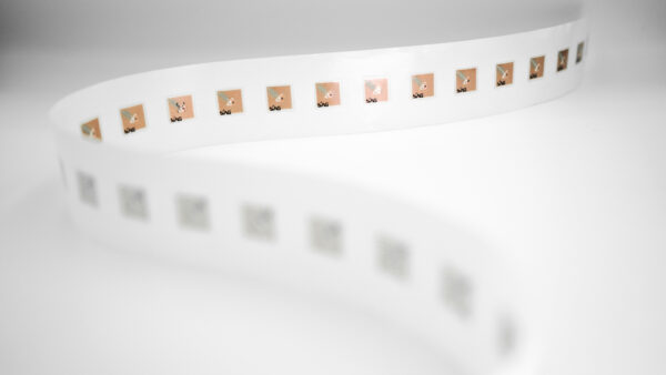 10 x 10 HF Smart Label